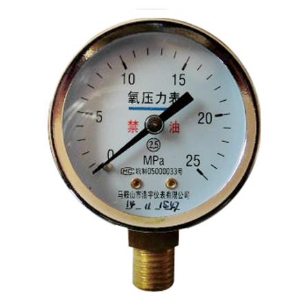 Y53 radial pressure gauge(cover ring) Screw thread/NPT1/4