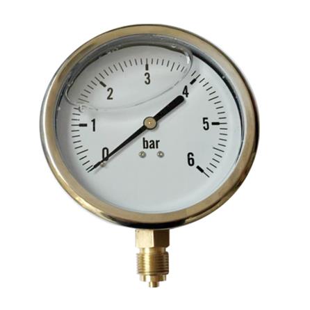 Y100 radial stainless steel oil pressure gauge(sealing) Screw thread BSP 1/2
